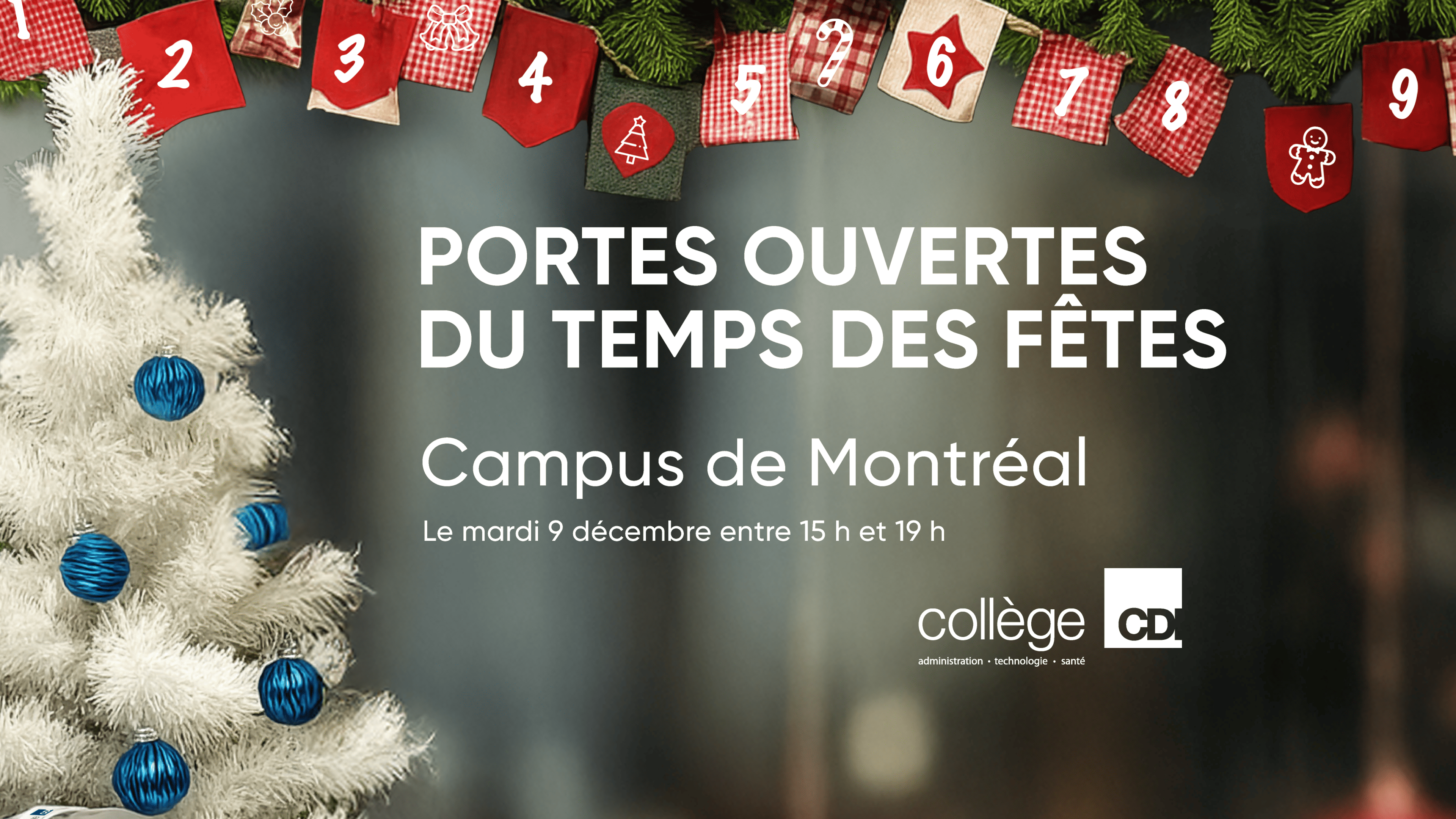 Cdi College Rmt Collège CDI | Formation collégiale et professionnelle | Programmes